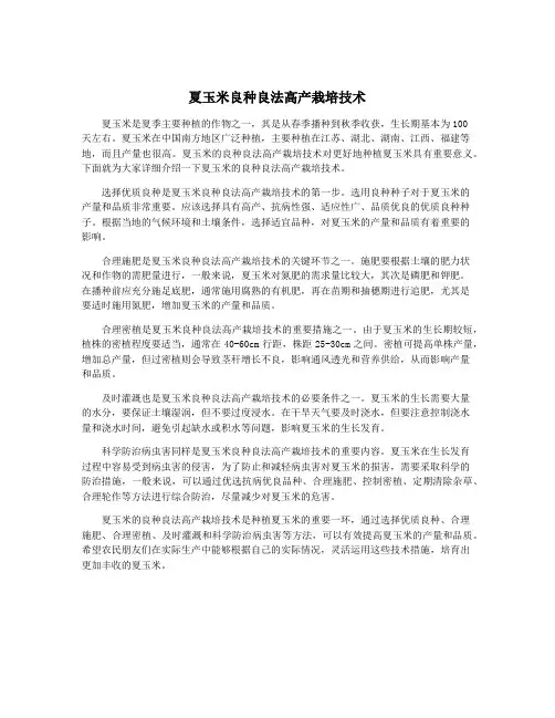 夏玉米良种良法高产栽培技术