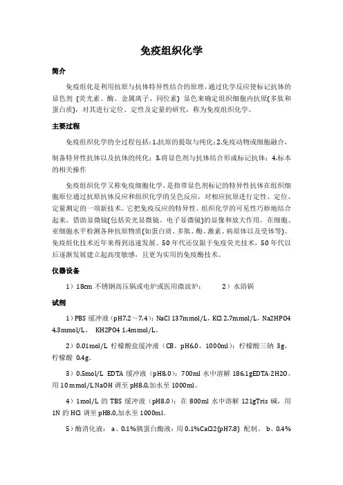 免疫组织化学