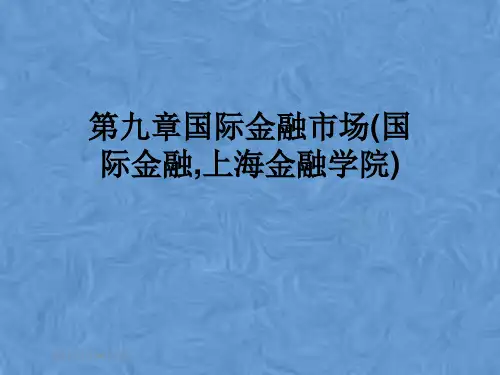 第九章国际金融市场(国际金融,上海金融学院)