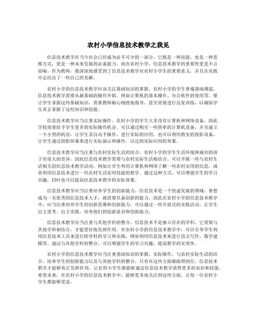 农村小学信息技术教学之我见