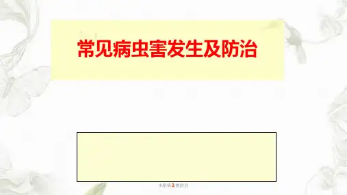 水稻病虫害防治ppt课件