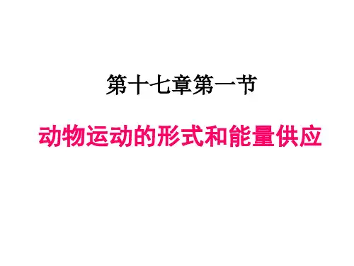 苏教版生物八上17.1 动物的运动形式和能量供应   课件(共37张PPT)