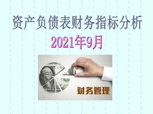 资产负债表财务指标分析