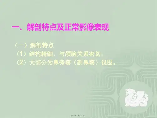 眼眶、眼球病变影像诊断