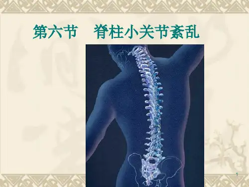 脊柱小关节紊乱ppt课件
