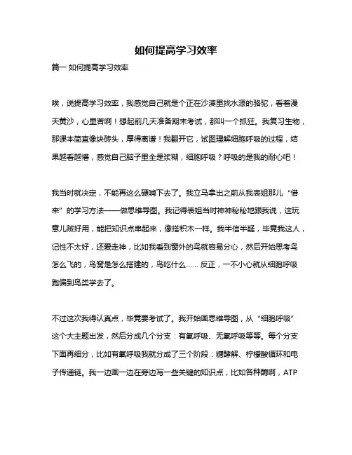 作文《如何提高学习效率》