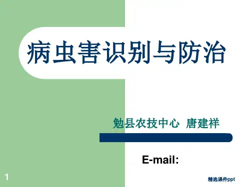 病虫害识别与防治ppt课件