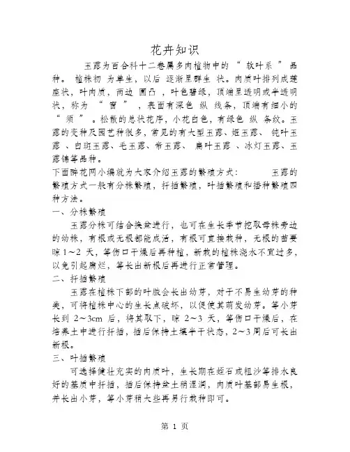 多肉植物玉露怎么繁殖？12页