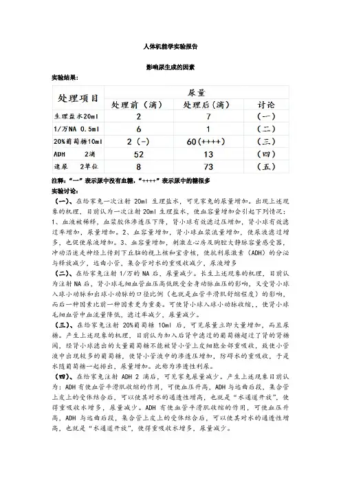 影响尿生成的影响因素