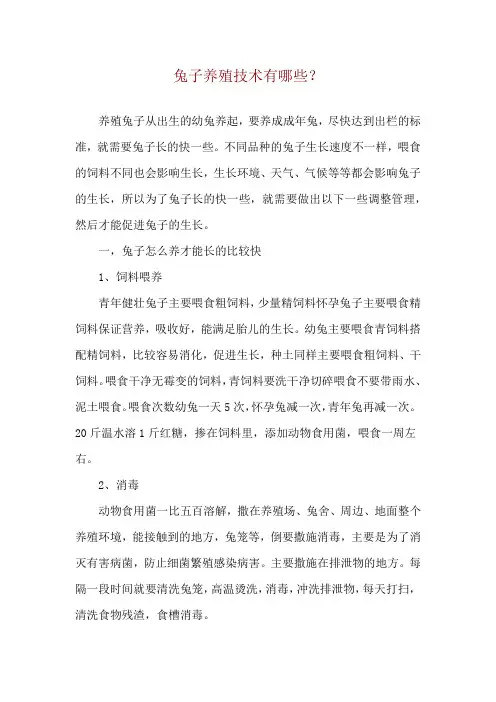 兔子养殖技术有哪些？