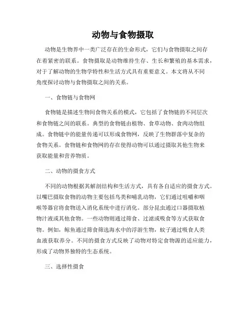 动物与食物摄取