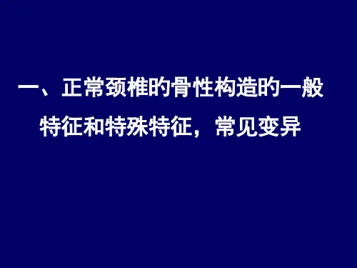 颈椎局部解剖理论
