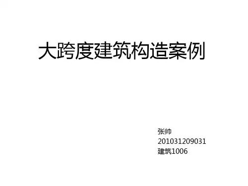 大跨度建筑构造案例