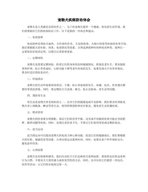 宠物犬疾病防治体会