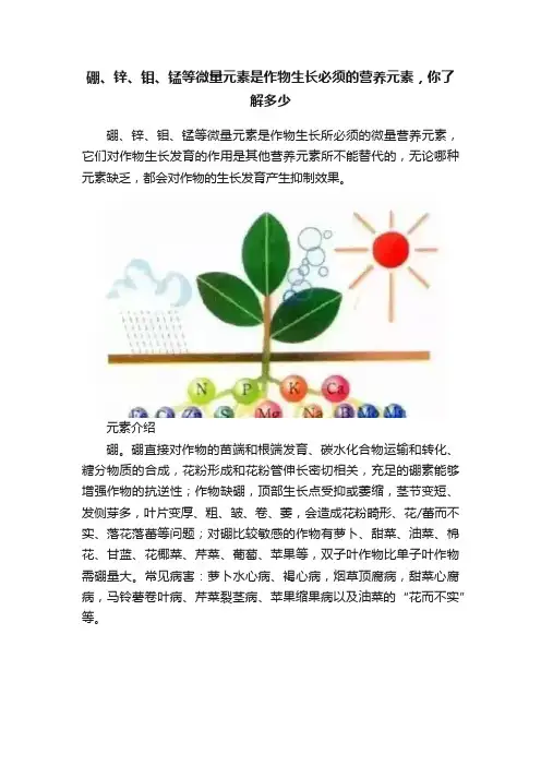 硼、锌、钼、锰等微量元素是作物生长必须的营养元素，你了解多少