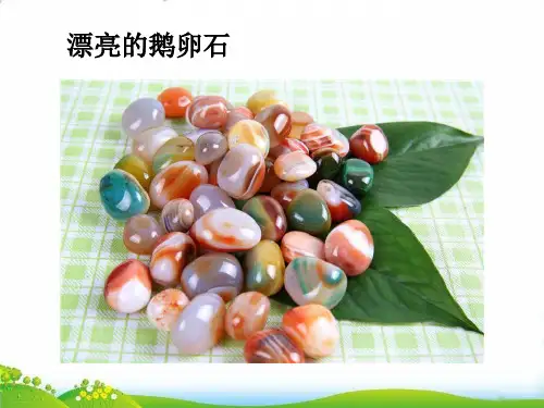 【苏教版】-科学《石头》PPT-教研课件1