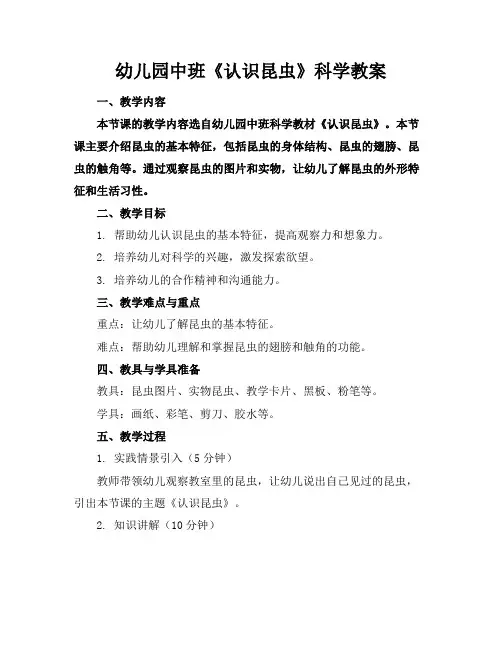 幼儿园中班《认识昆虫》科学教案