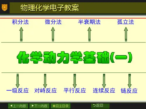 化学动力学基础_PPT课件