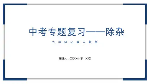 2024年中考化学专题复习除杂