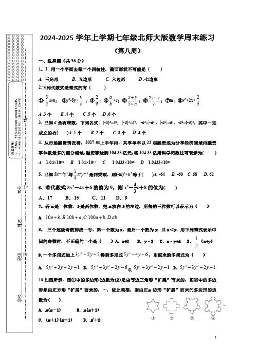 2024-2025学年北师大版七上数学第8周周末作业