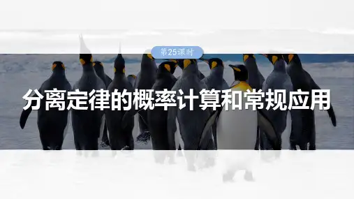 高考生物专项复习《分离定律的概率计算和常规应用》