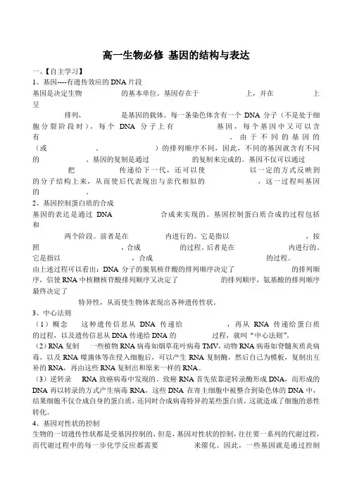 高一生物必修 基因的结构与表达