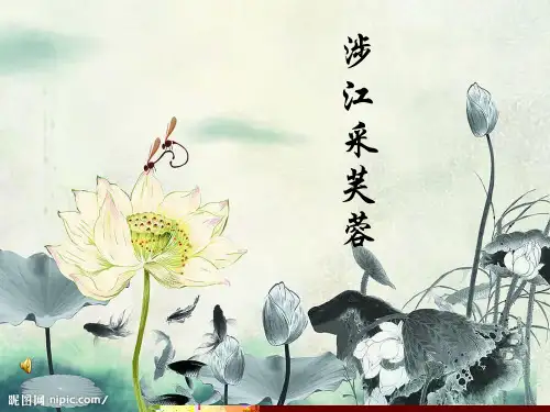 涉江采芙蓉-优秀完整版PPT课件