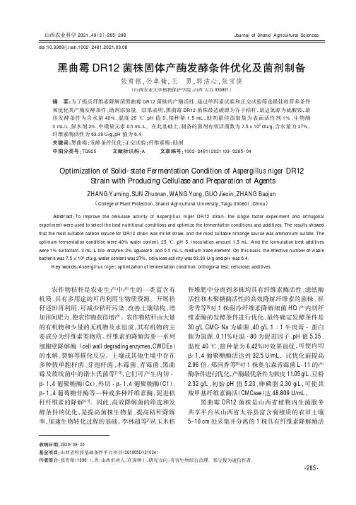 黑曲霉DR12菌株固体产酶发酵条件优化及菌剂制备