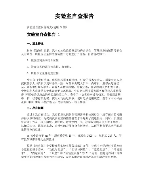 实验室自查报告