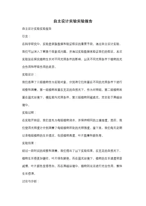 自主设计实验实验报告