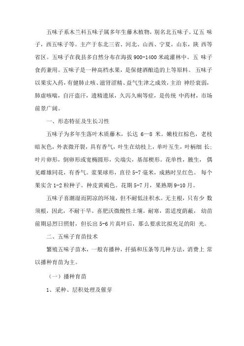 五味子种植技术