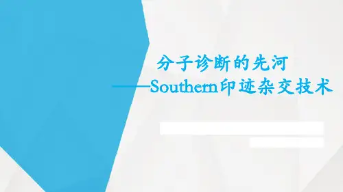 分子诊断的先河——Southern印迹杂交技术 ppt