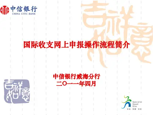 外管局系统操作指南