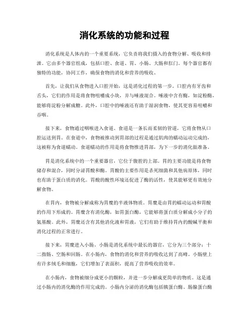 消化系统的功能和过程