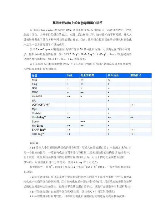 基因克隆载体上的各种常用蛋白标签