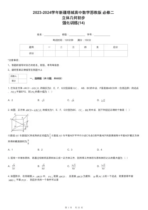 2023-2024学年新疆塔城高中数学苏教版 必修二立体几何初步强化训练-14-含解析