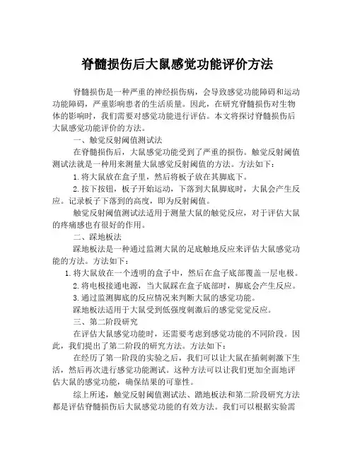 脊髓损伤后大鼠感觉功能评价方法