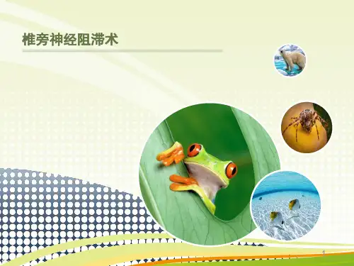 椎旁神经阻滞ppt课件