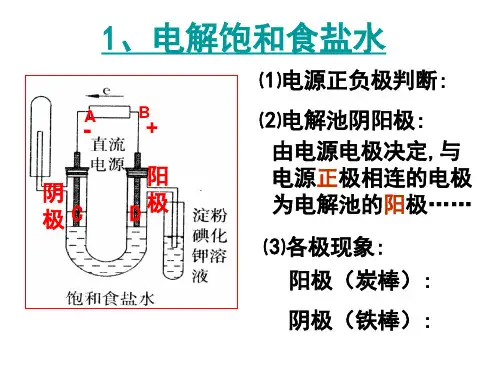 电解饱和食盐水教学教材