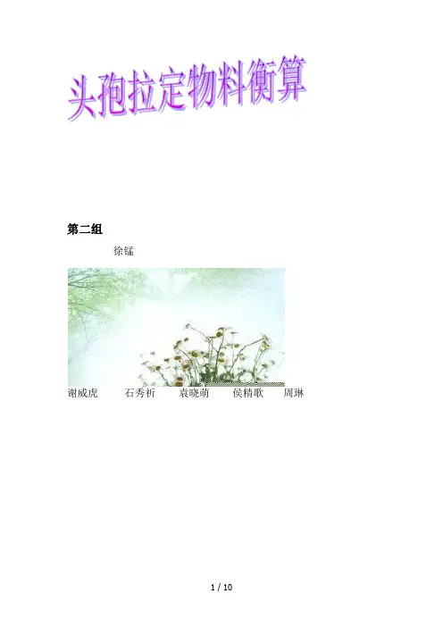 第二组-头孢拉定物料衡算