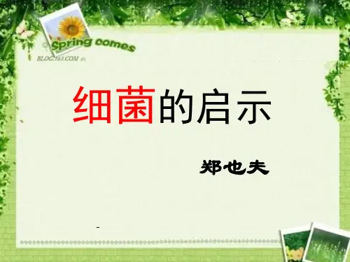 细菌的启示-PPT课件 