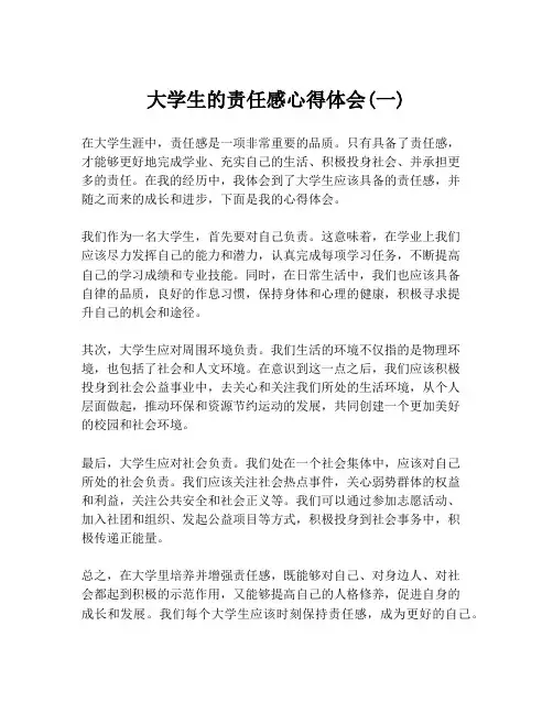 大学生的责任感心得体会(一)