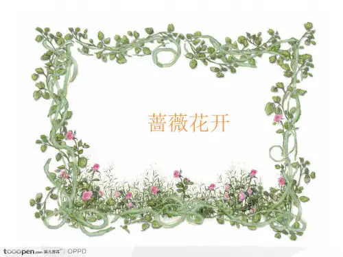 蔷薇花ppt