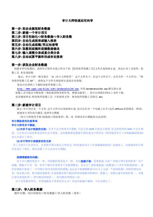 审计大师快速应用向导