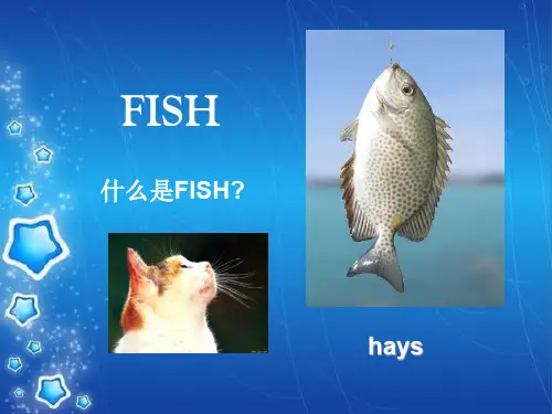 免疫荧光原位杂交技术FISH