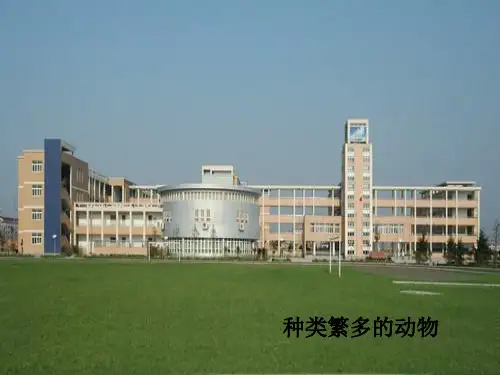 六年级上册科学-种类繁多的动物优秀课件教科版