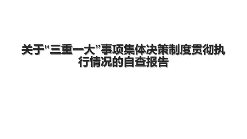 关于“三重一大”事项集体决策制度贯彻执行情况的自查报告