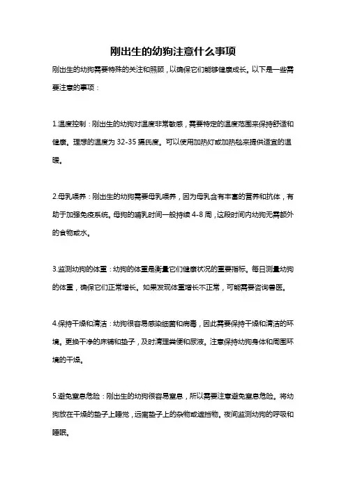 刚出生的幼狗注意什么事项