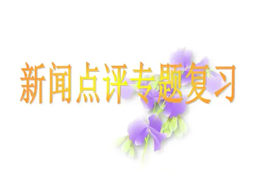 语言文字运用题—新闻评论
