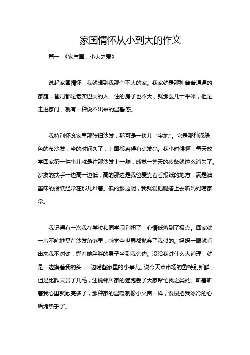 家国情怀从小到大的作文